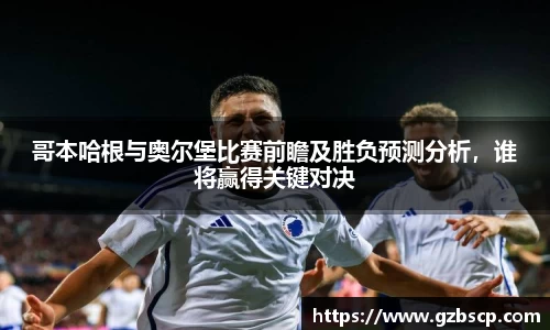 完美体育平台