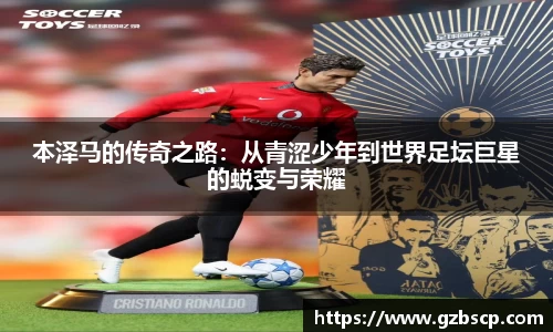 完美体育平台
