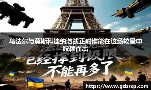 完美体育